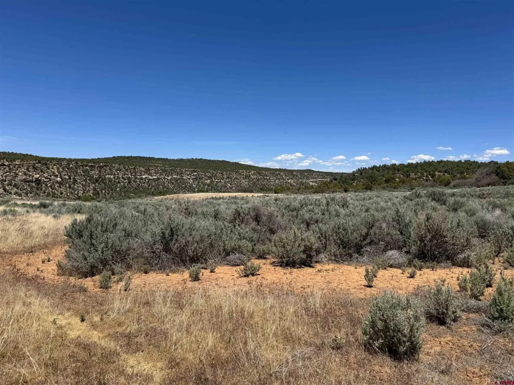 29373 Highway 184 Dolores, CO 81323
