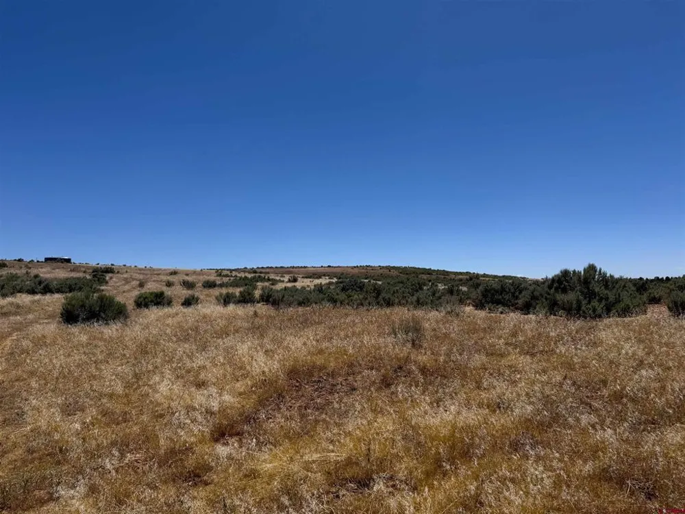 29373 Highway 184 Dolores, CO 81323