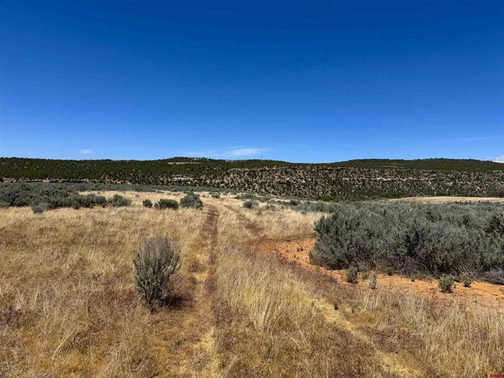 29373 Highway 184 Dolores, CO 81323