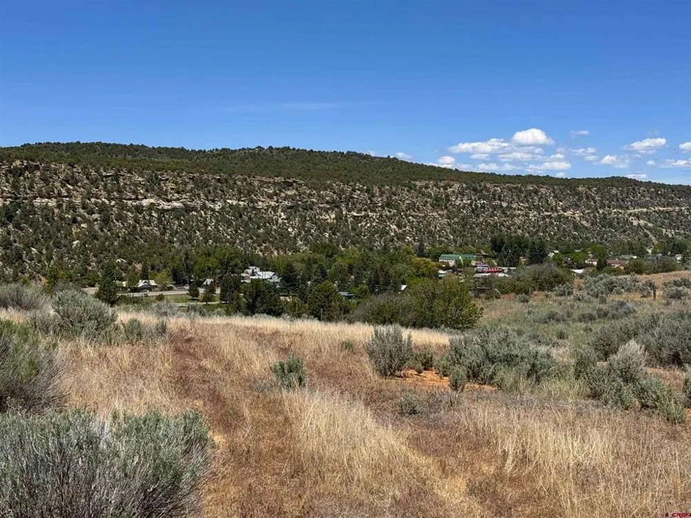 29373 Highway 184 Dolores, CO 81323