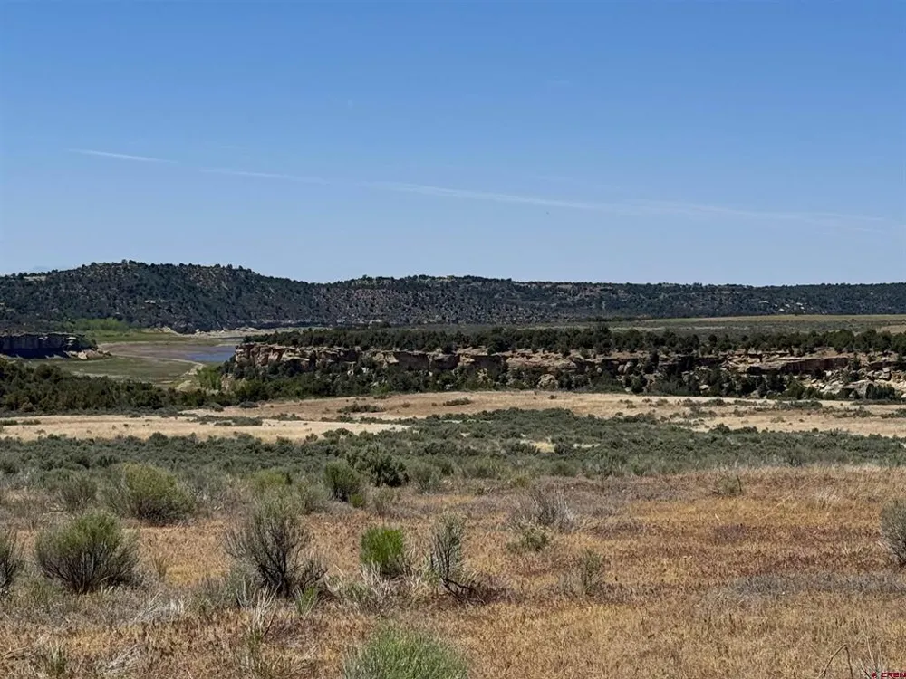 29373 Highway 184 Dolores, CO 81323