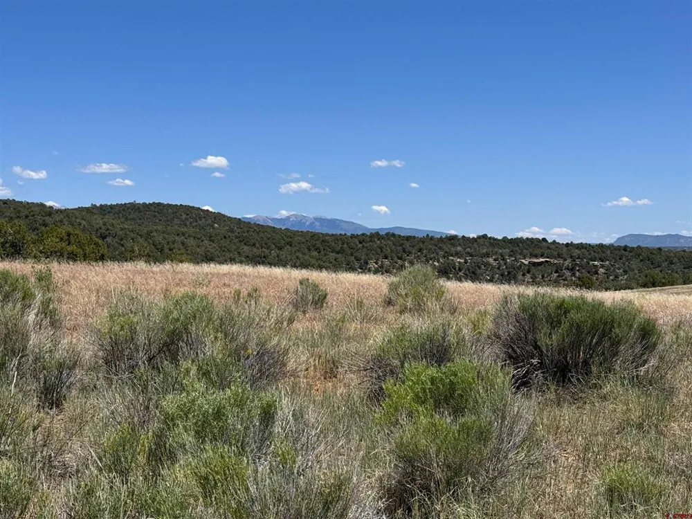 29373 Highway 184 Dolores, CO 81323