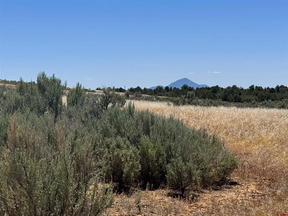 29373 Highway 184 Dolores, CO 81323
