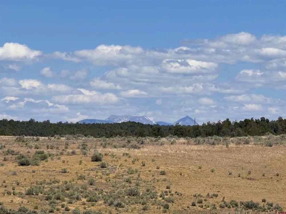 29373 Highway 184 Dolores, CO 81323