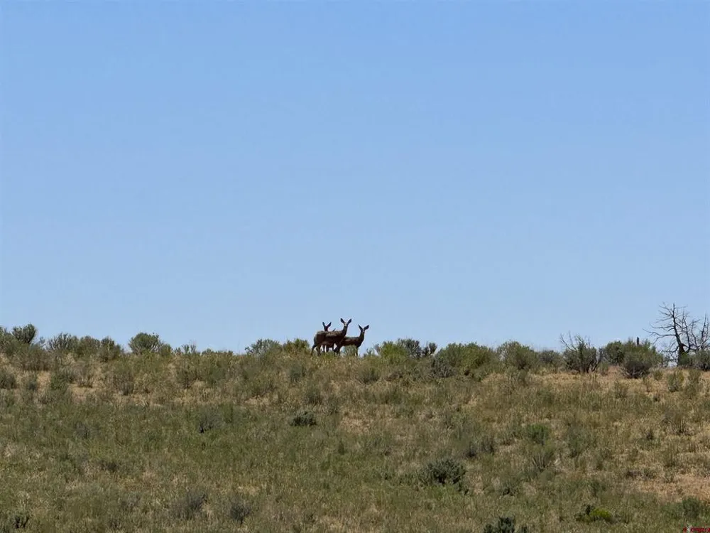 29373 Highway 184 Dolores, CO 81323