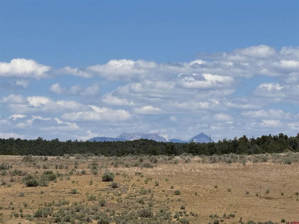 29373 Highway 184 Dolores, CO 81323