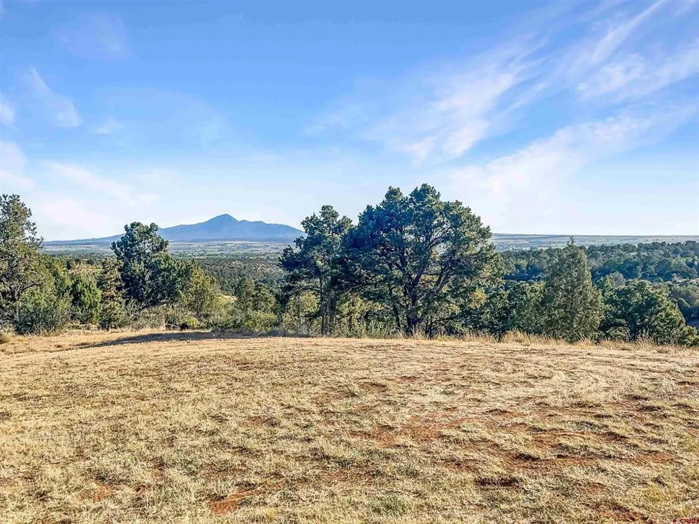 25565 Road U.8 Dolores, CO 81323