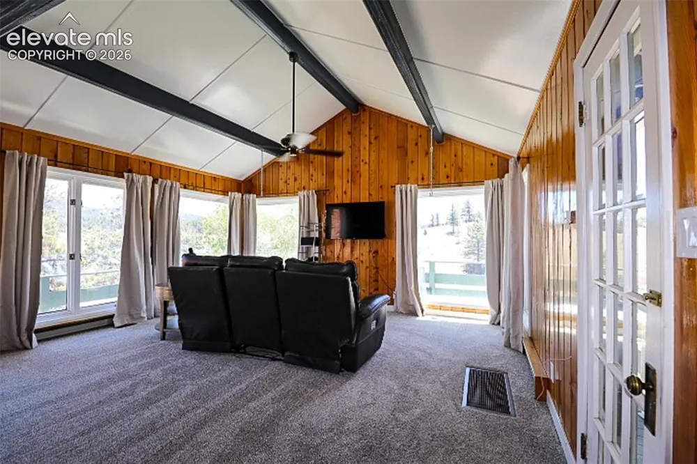 731 Midland Court Lake George, CO 80827