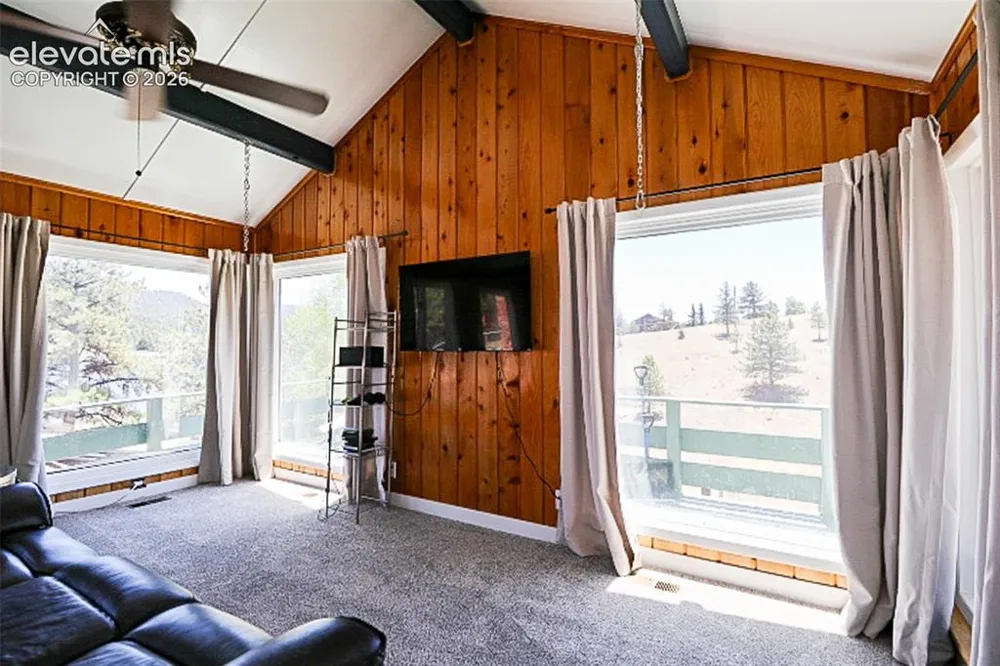 731 Midland Court Lake George, CO 80827