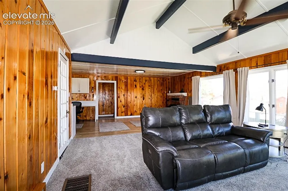 731 Midland Court Lake George, CO 80827
