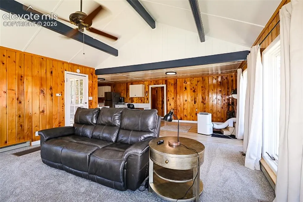 731 Midland Court Lake George, CO 80827