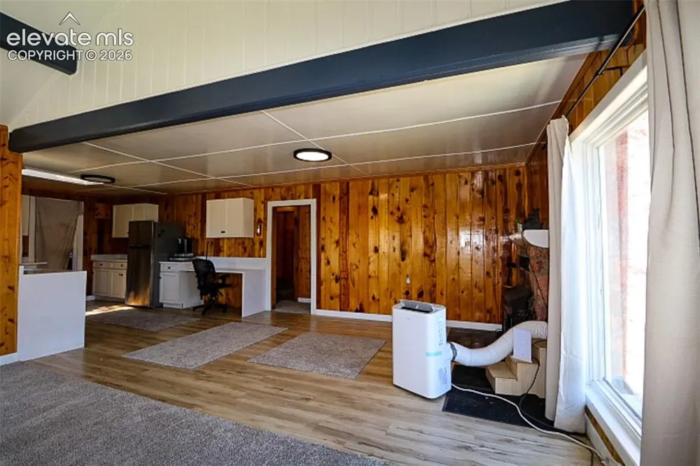 731 Midland Court Lake George, CO 80827