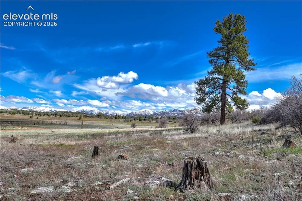 1234 Scenic Avenue Pagosa Springs, CO 81147