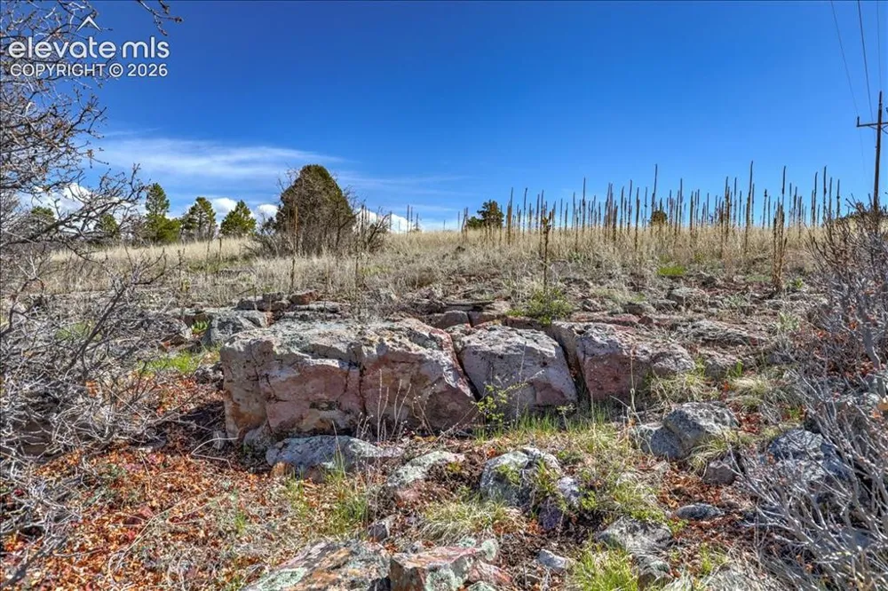 1234 Scenic Avenue Pagosa Springs, CO 81147