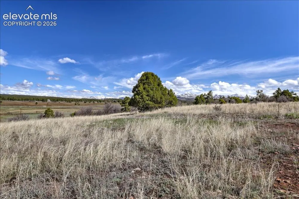 1234 Scenic Avenue Pagosa Springs, CO 81147