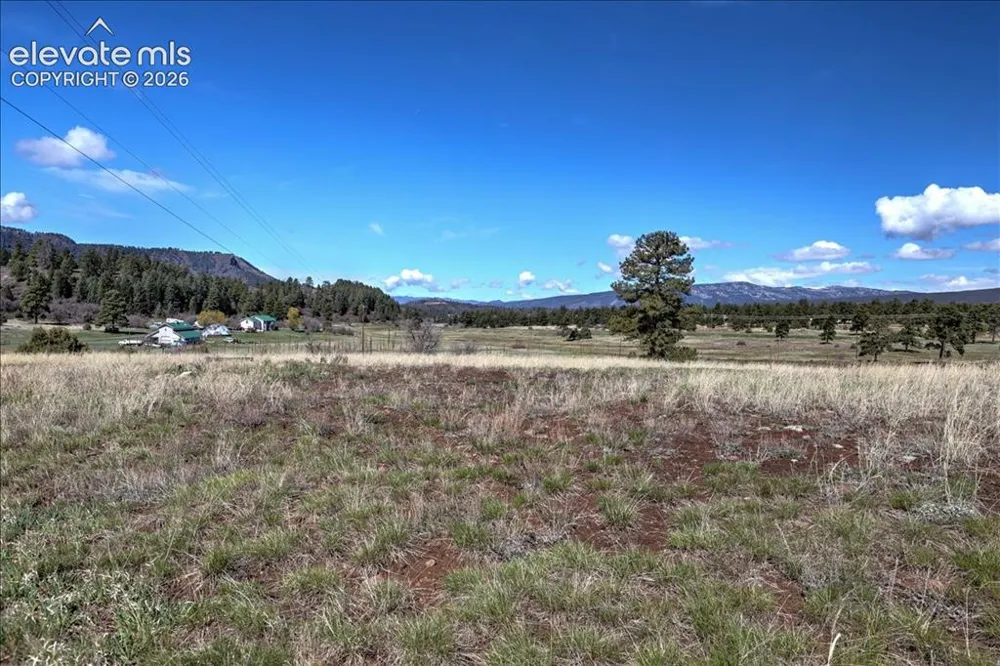 1234 Scenic Avenue Pagosa Springs, CO 81147