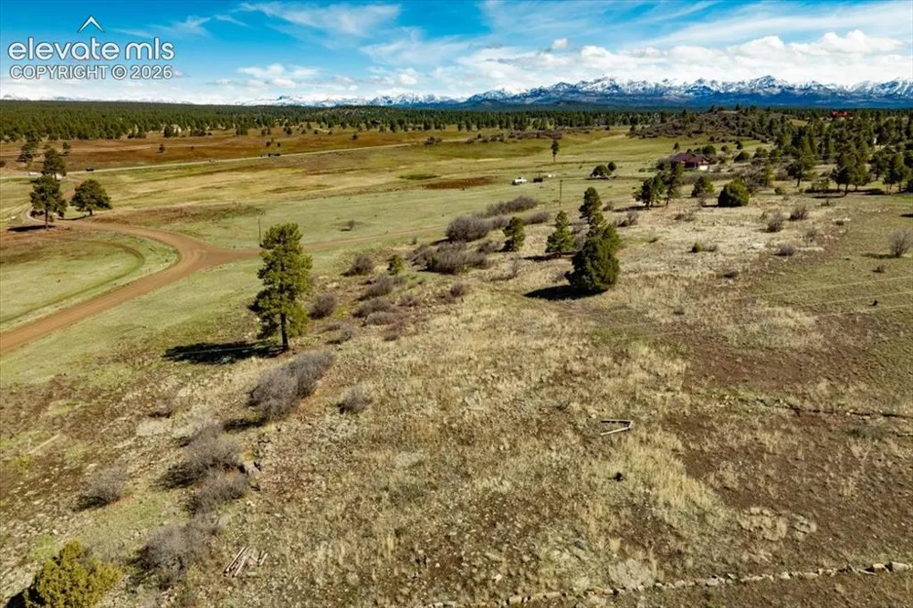 1234 Scenic Avenue Pagosa Springs, CO 81147
