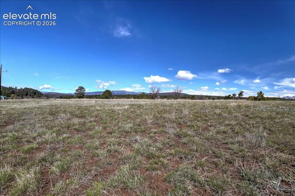 1234 Scenic Avenue Pagosa Springs, CO 81147