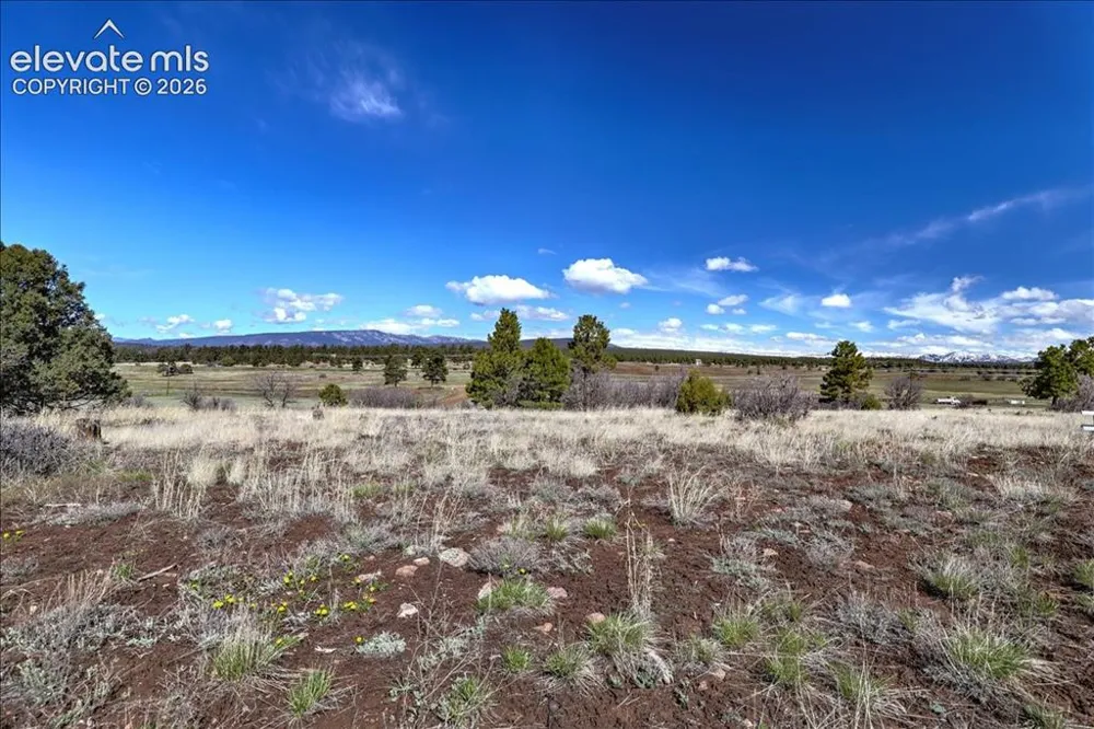 1234 Scenic Avenue Pagosa Springs, CO 81147