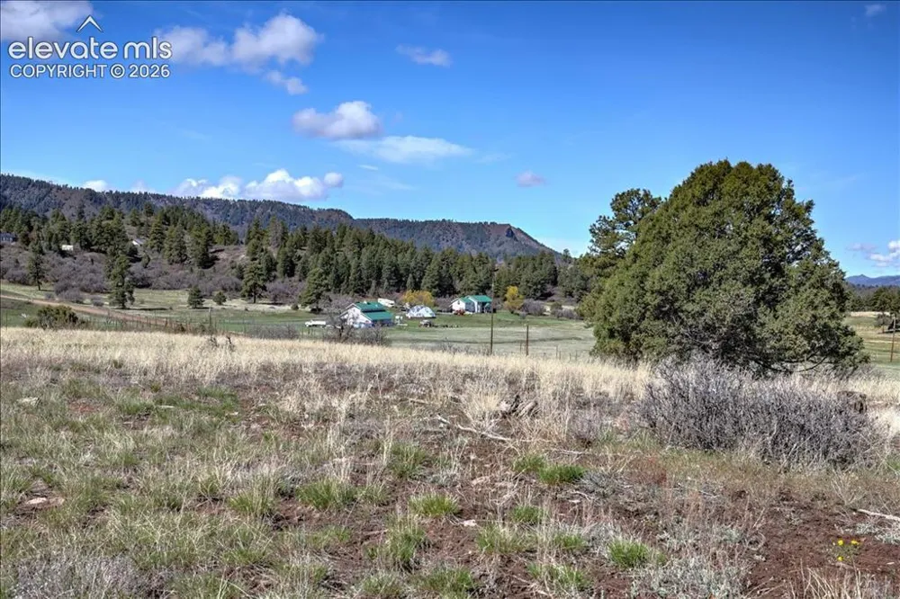 1234 Scenic Avenue Pagosa Springs, CO 81147