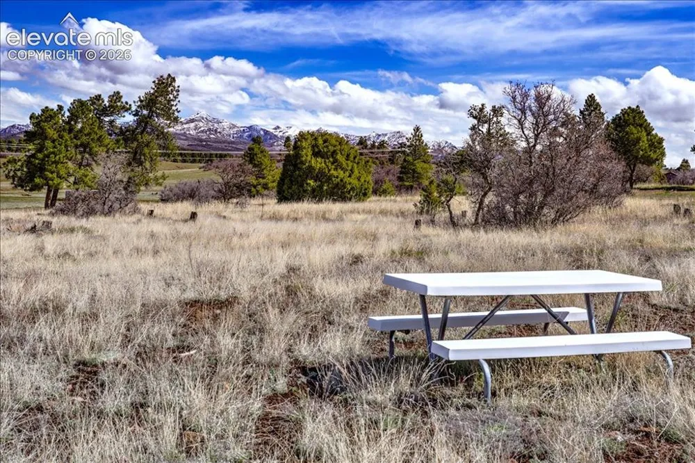 1234 Scenic Avenue Pagosa Springs, CO 81147