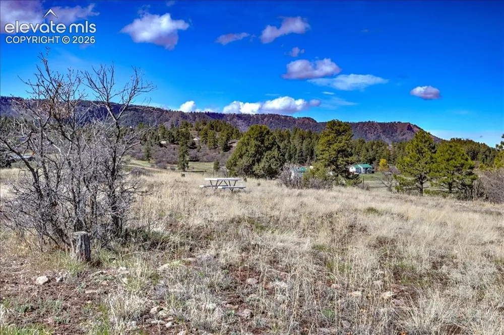 1234 Scenic Avenue Pagosa Springs, CO 81147