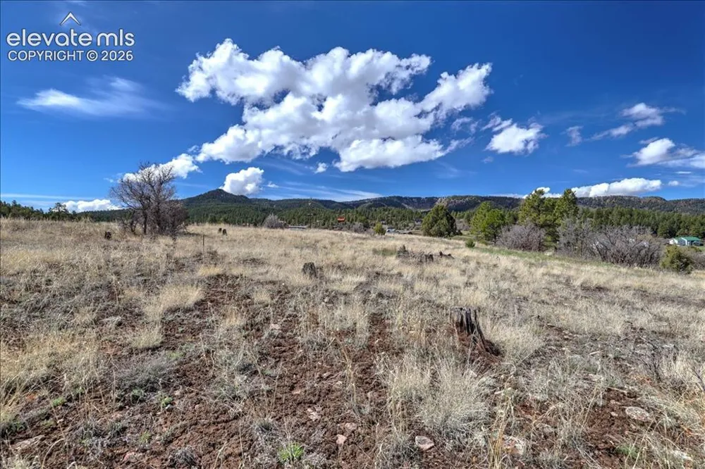 1234 Scenic Avenue Pagosa Springs, CO 81147