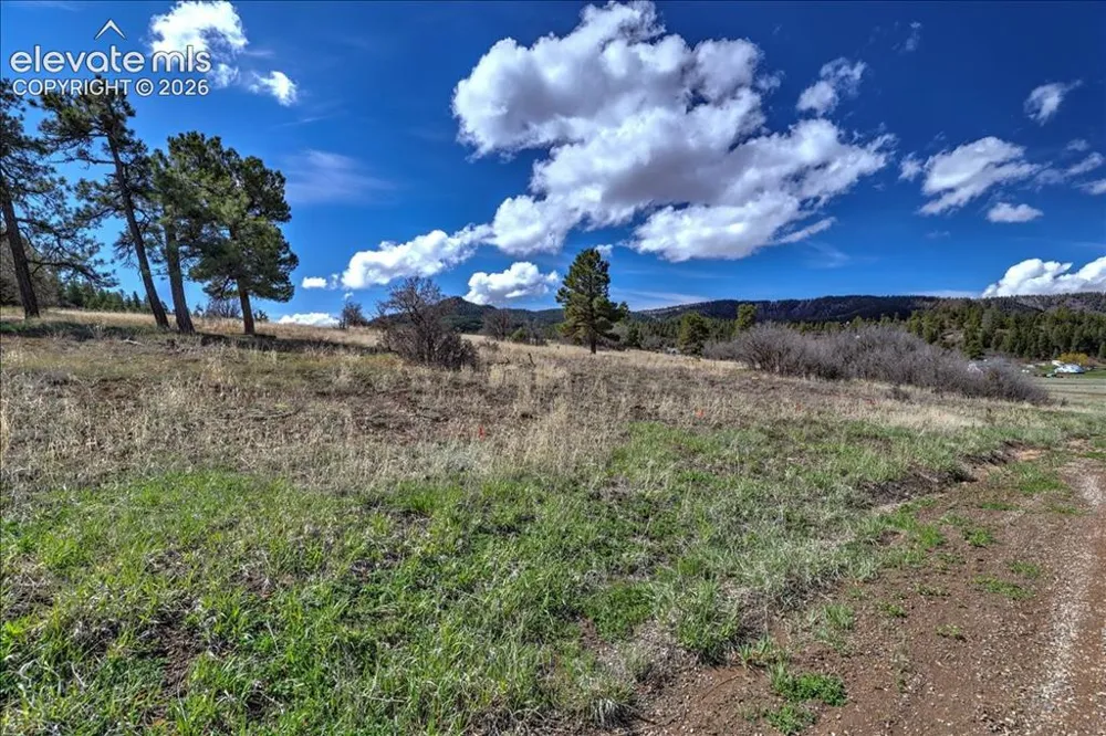 1234 Scenic Avenue Pagosa Springs, CO 81147