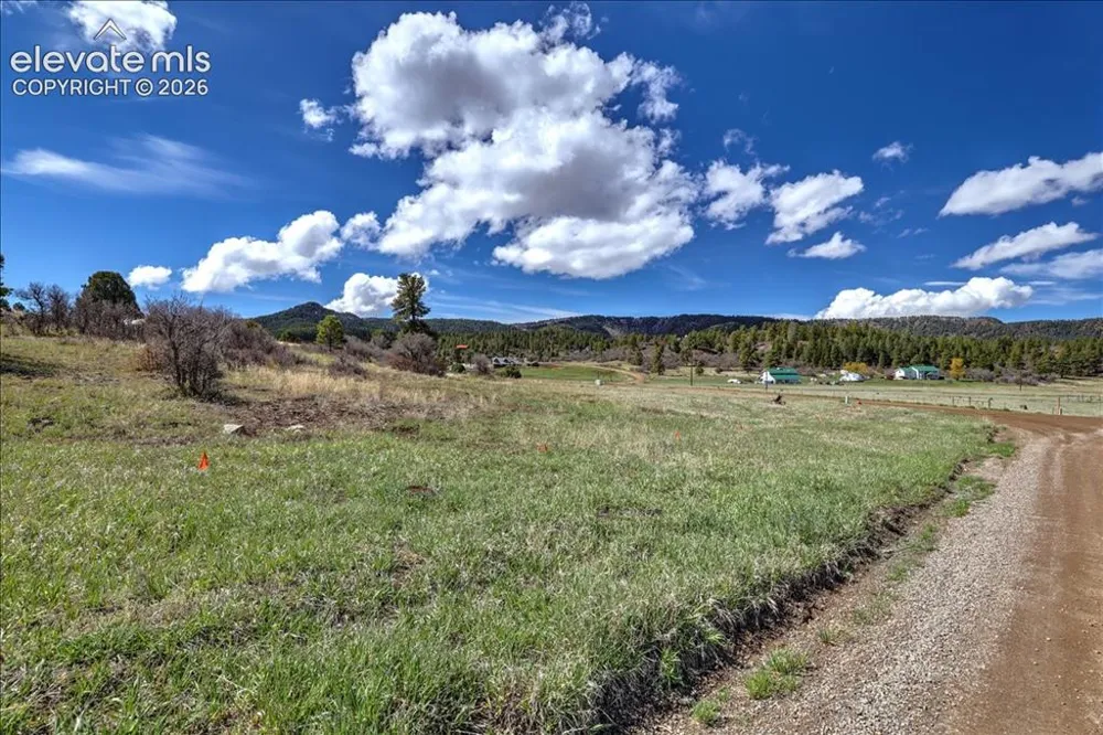 1234 Scenic Avenue Pagosa Springs, CO 81147