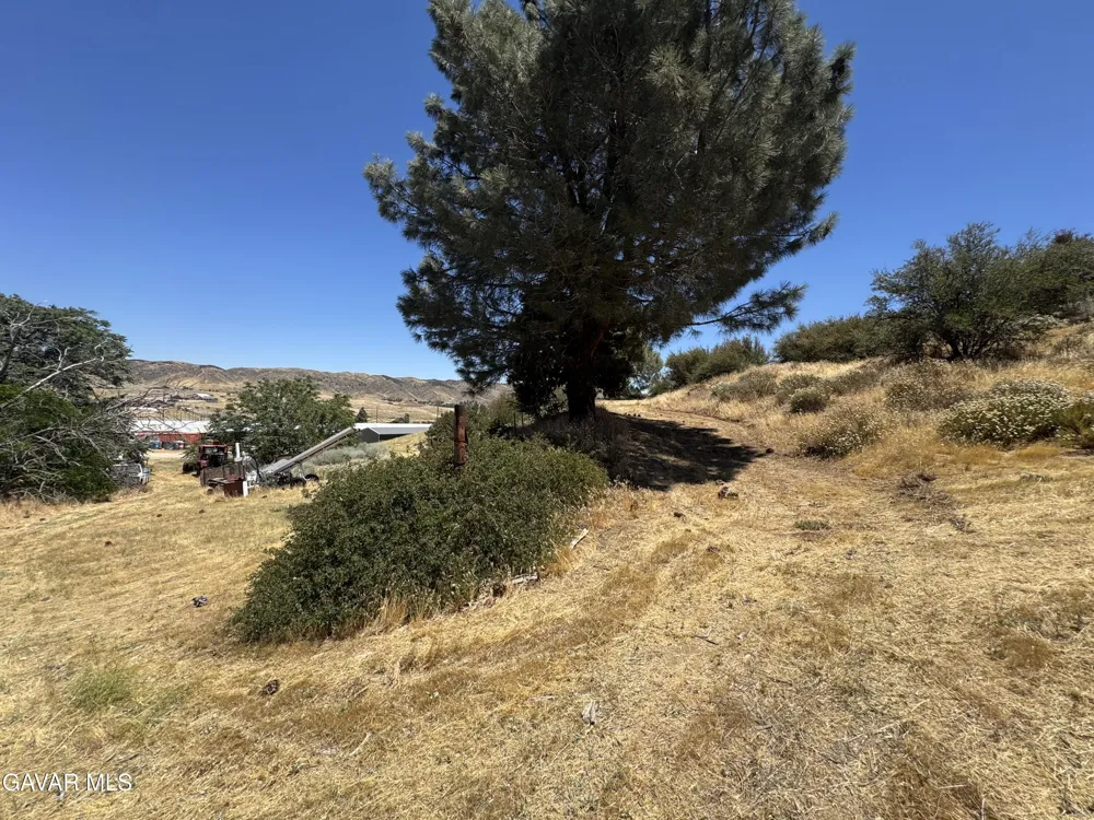 10620 Leona Avenue Leona Valley, CA 93551