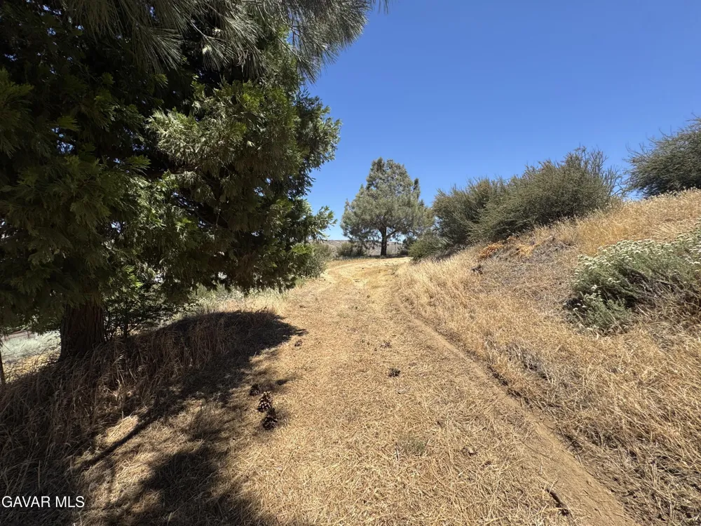 10620 Leona Avenue Leona Valley, CA 93551