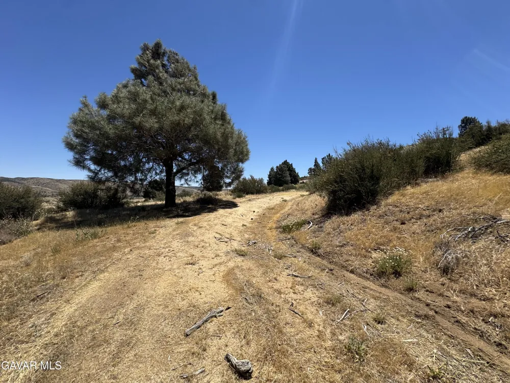 10620 Leona Avenue Leona Valley, CA 93551