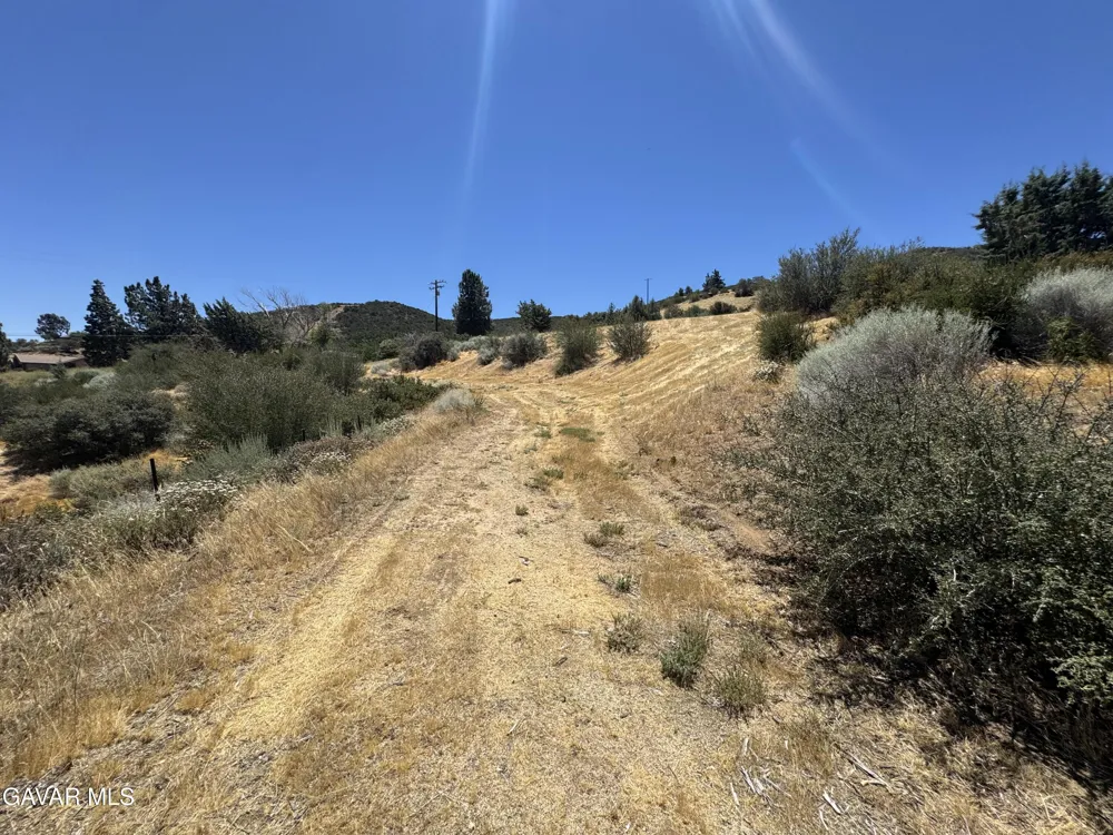 10620 Leona Avenue Leona Valley, CA 93551