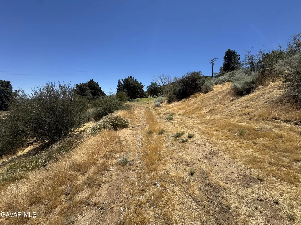 10620 Leona Avenue Leona Valley, CA 93551