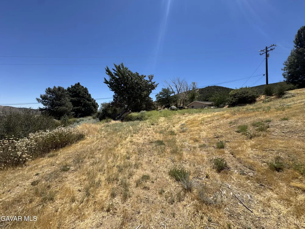 10620 Leona Avenue Leona Valley, CA 93551