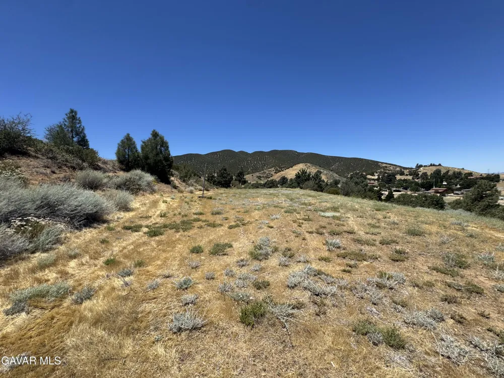10620 Leona Avenue Leona Valley, CA 93551