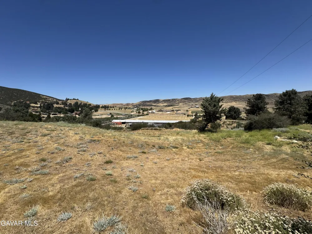 10620 Leona Avenue Leona Valley, CA 93551