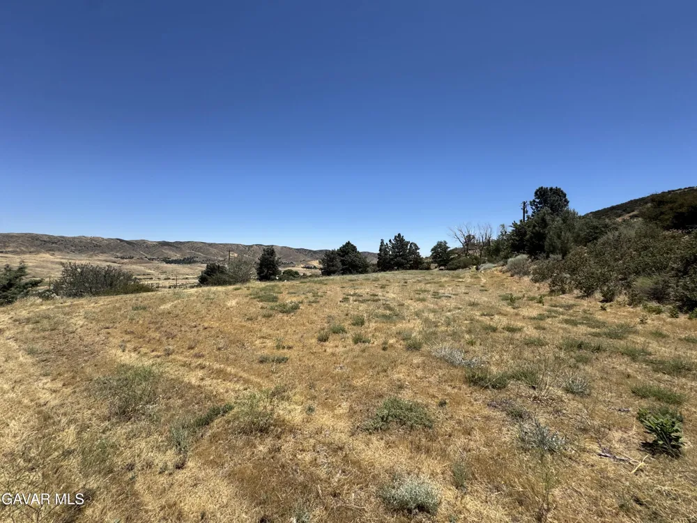 10620 Leona Avenue Leona Valley, CA 93551