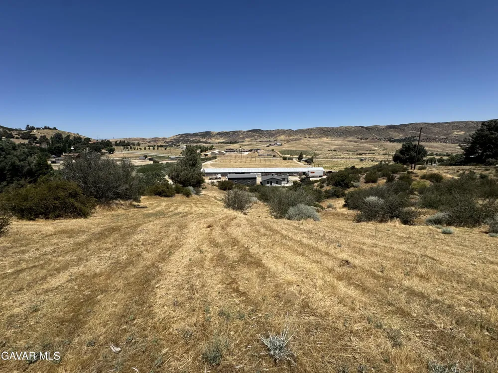 10620 Leona Avenue Leona Valley, CA 93551