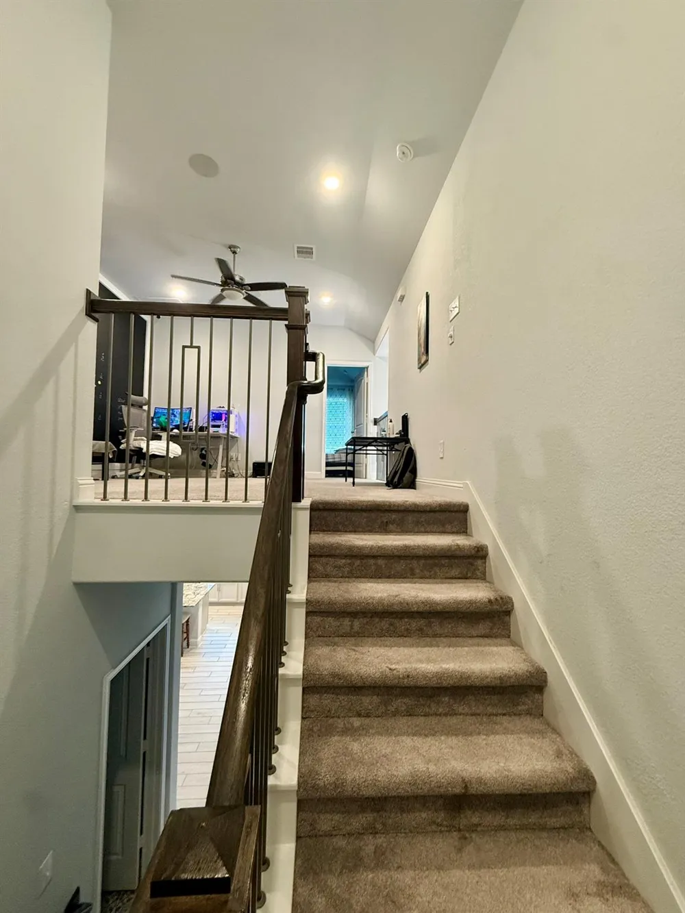 23703 Celeste Fig Drive Katy, TX 77493