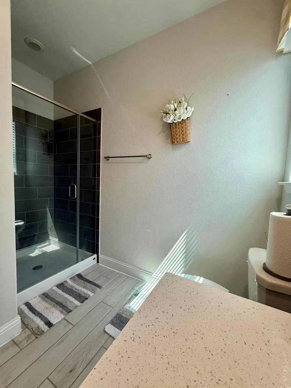 23703 Celeste Fig Drive Katy, TX 77493