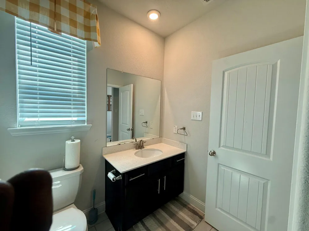 23703 Celeste Fig Drive Katy, TX 77493