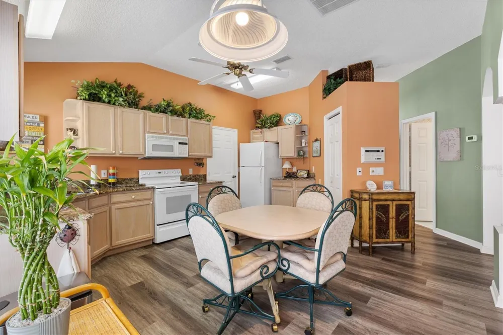 1516 MARTINEZ DRIVE Lady Lake, FL 32159