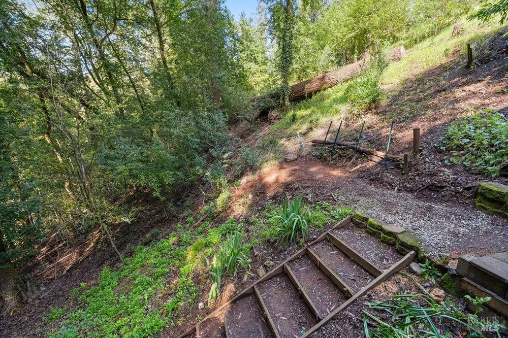 10987 Terrace Drive Forestville, CA 95436