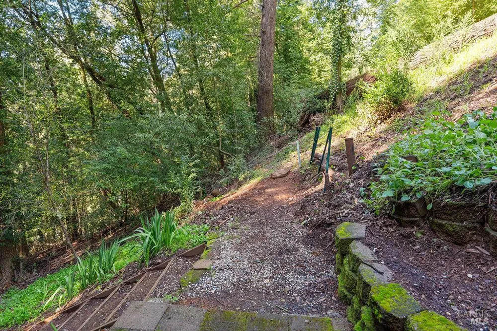 10987 Terrace Drive Forestville, CA 95436