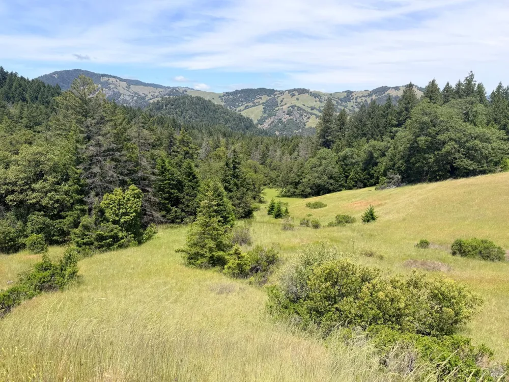 Registered Guest Road Laytonville, CA 95454