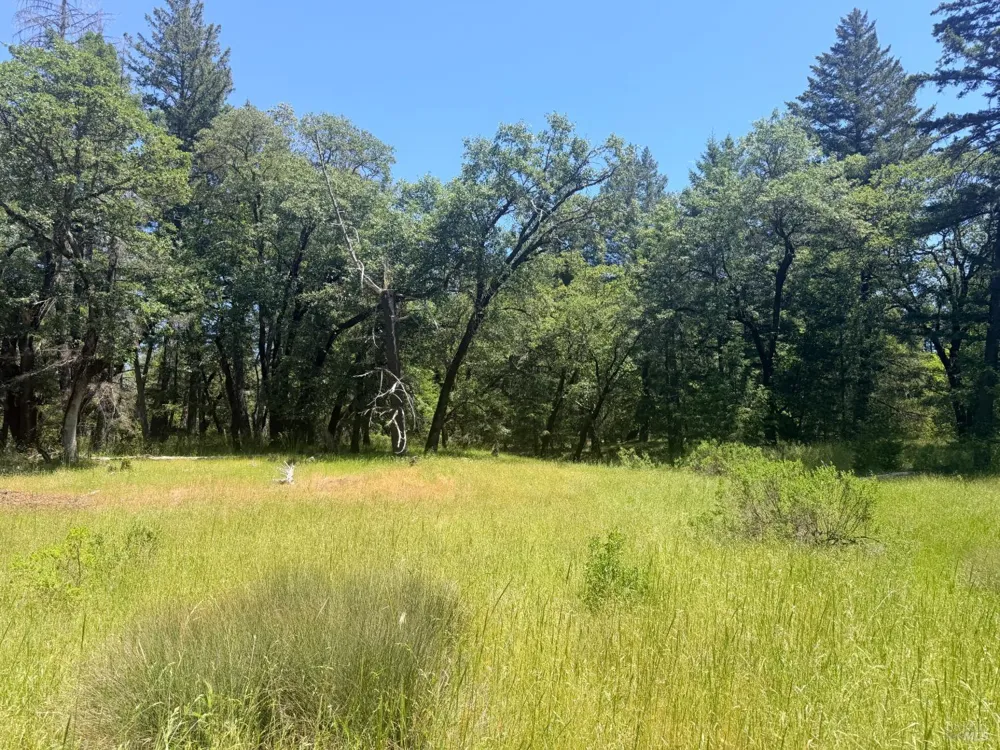 Registered Guest Road Laytonville, CA 95454