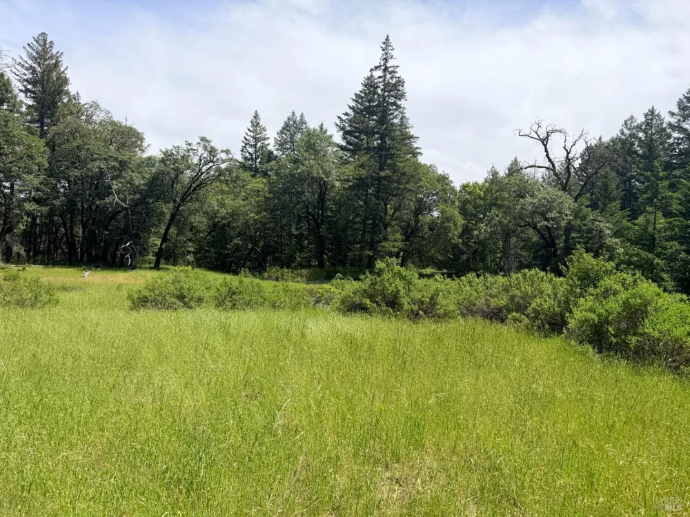 Registered Guest Road Laytonville, CA 95454