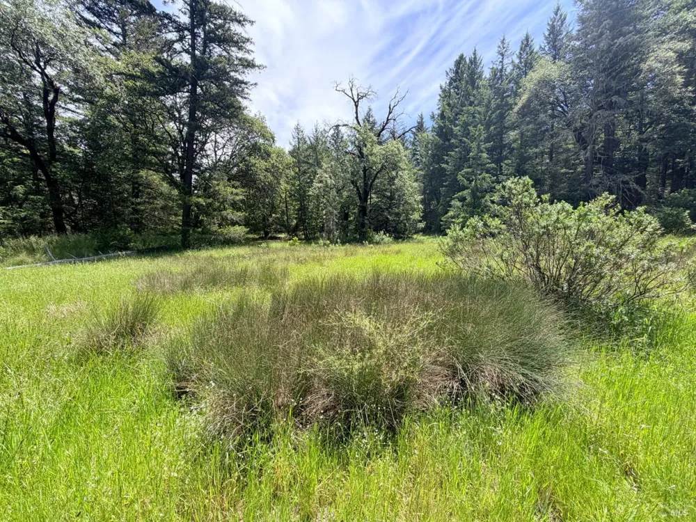 Registered Guest Road Laytonville, CA 95454