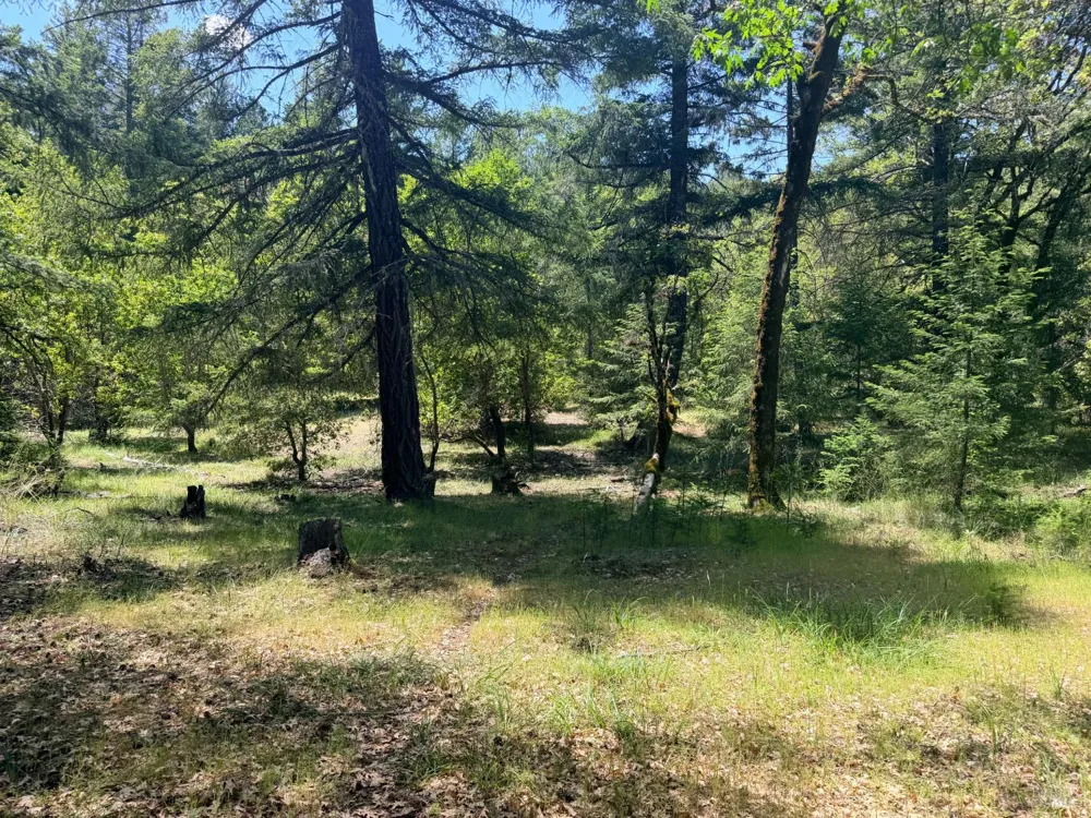 Registered Guest Road Laytonville, CA 95454